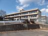 周辺：渋川市立金島小学校 【小学校】金島小学校まで約3.2km(徒歩40分)。 3150m