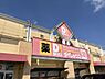 周辺：【周辺環境】ダイレックス大口店様まで約3900ｍ（徒歩48分）。生鮮食品や日用品が揃っており、毎日のお買い物に便利ですね。