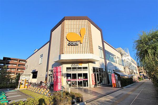 画像19:【スーパー】ダイエー浦安駅前店まで326ｍ