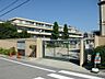 周辺：【小学校】西宮市立　鳴尾小学校まで177ｍ