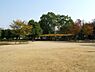 周辺：【公園】長洲公園まで341ｍ