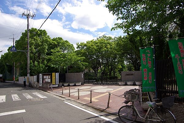 画像16:【小学校】尼崎市立　成文小学校まで802ｍ