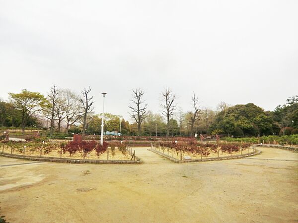 画像28:【公園】大井戸公園まで595ｍ