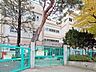周辺：杉並区立大宮小学校　徒歩10分 800m