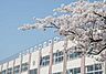 周辺：中野区立白桜小学校　徒歩13分 1000m