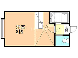 ドルミムサシ 1階ワンルームの間取り