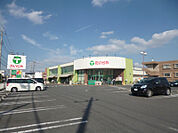 たいらや緑店　290ｍ/徒歩4分、車1分