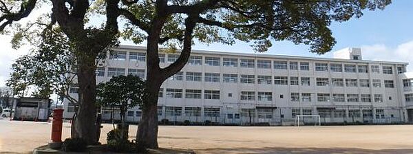 画像21:【小学校】姫路市立白浜小学校まで239ｍ