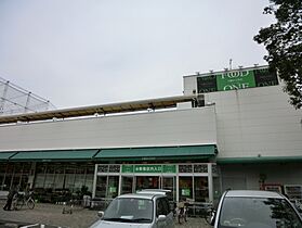 神奈川県相模原市中央区淵野辺本町1丁目（賃貸アパート1LDK・2階・31.02㎡） その25