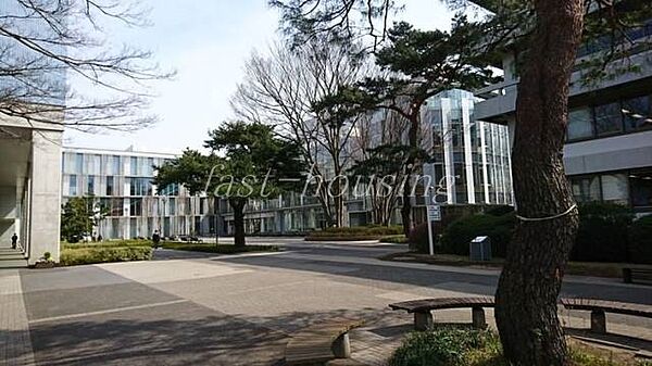 画像17:私立東京経済大学 1326m