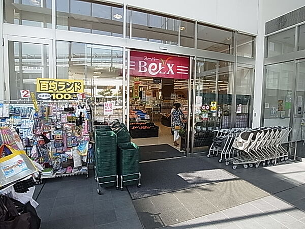 画像21:ベルクス東松戸店（253m）