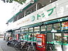 周辺：トップ常盤平店（491m）