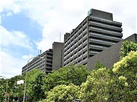 兵庫県神戸市中央区花隈町（賃貸マンション1R・4階・46.00㎡） その17