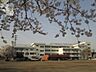 周辺：府中市立日新小学校 197m