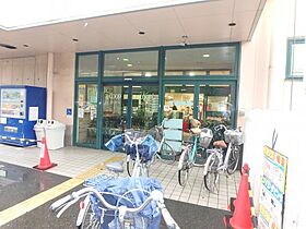 桂樹館 501 ｜ 神奈川県川崎市中原区下小田中6丁目15-1（賃貸マンション3LDK・5階・65.21㎡） その21