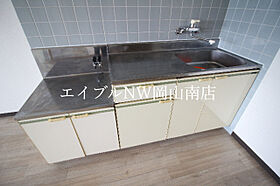 岡山県岡山市南区豊成1丁目（賃貸マンション3LDK・9階・57.20㎡） その9