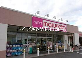 グランドソレーユ  ｜ 岡山県岡山市南区新保（賃貸アパート1LDK・2階・36.00㎡） その21