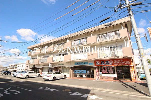 虫明ビル ｜岡山県岡山市北区中仙道1丁目(賃貸マンション3DK・3階・53.00㎡)の写真 その1