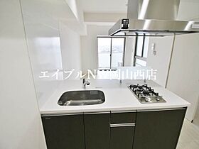 エスコパークヒルズ問屋町  ｜ 岡山県岡山市北区辰巳（賃貸マンション1LDK・3階・38.88㎡） その5