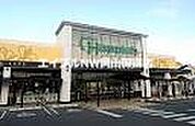 ハピッシュ国府市場店 1553m