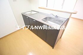 岡山県岡山市中区古京町1丁目（賃貸マンション1LDK・5階・48.15㎡） その5