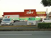 ゴダイドラッグ桜が丘店 1671m