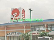 山陽マルナカ雄町店 556m