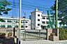 周辺：江戸川区立小岩第三中学校 徒歩7分。 520m