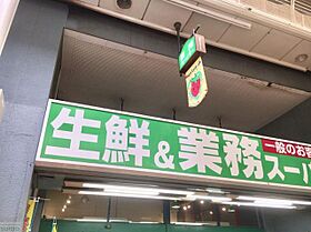 大阪府大阪市都島区東野田町４丁目（賃貸マンション1K・5階・20.00㎡） その24