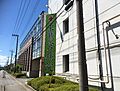 東鷲宮病院（6...