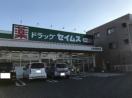 ドラッグセイムス 大宮吉野町店(1227m)