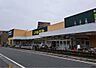 周辺：いなげや 志木柏町店（411m）