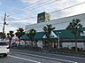 周辺：マルエツ 東川口店（489m）