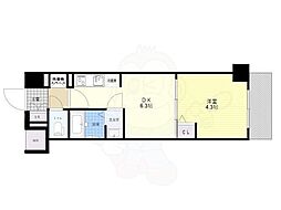 ラフィスタ墨田5丁目2 6階/-