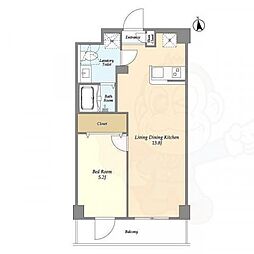 アルファコート八広 2階/-