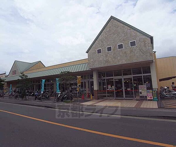 画像6:京都生活共同組合コープさがのまで139m 山越通り沿いにあり、ガレージもありますよ。