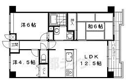 コスモ二条城東 5階3LDKの間取り