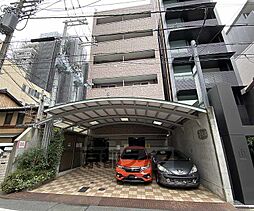 マホガニーコート