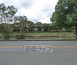 近隣風景です。
