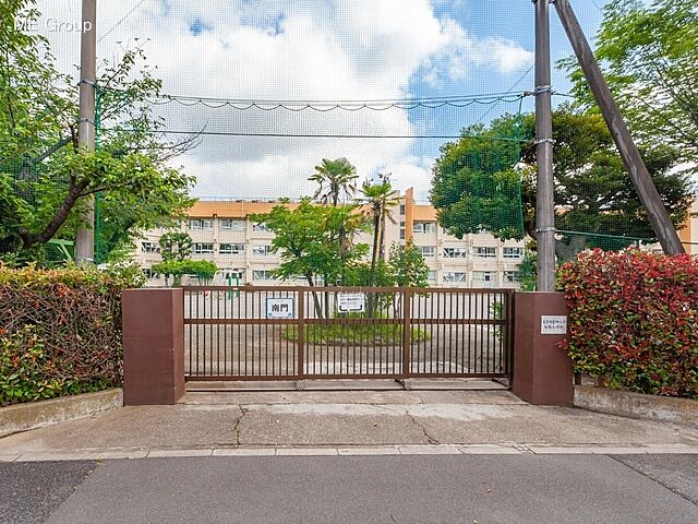 周辺 白鳥ハウス 6階/-