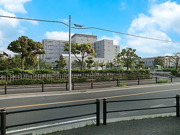 周辺を拡大表示