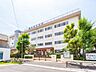 周辺：中学校 510m 葛飾区立新宿中学校