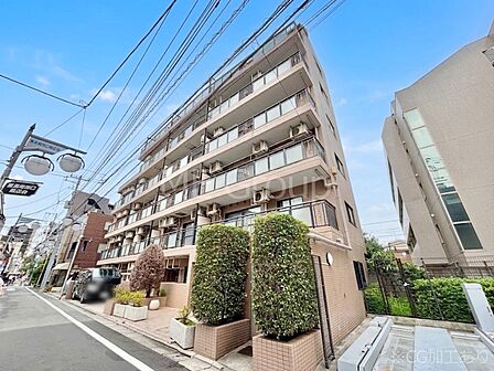 溢れる陽光でご家族の笑顔も輝く