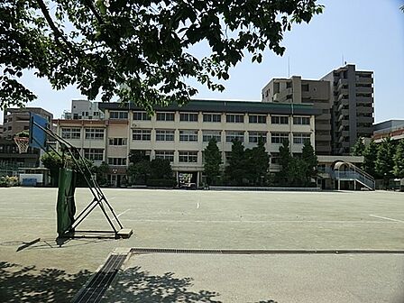 小学校 200m 川口市立幸町小学校