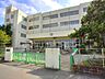 周辺：中学校 3300m 八潮市立八條中学校