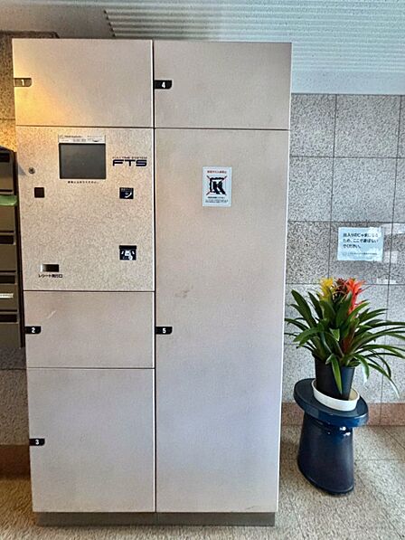 シンプルで落ち着いた雰囲気の玄関周り