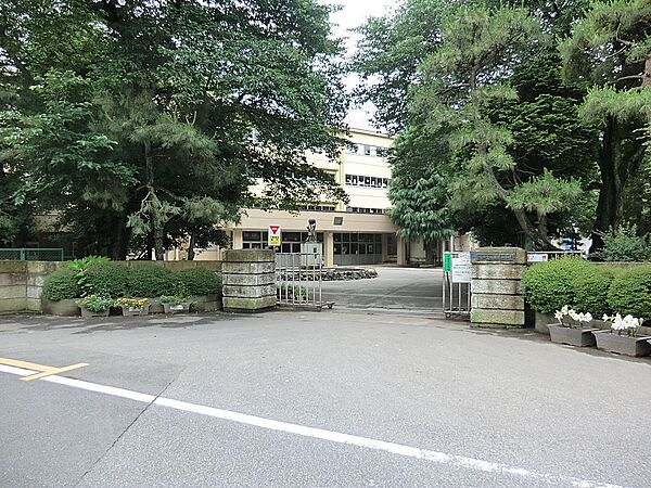 周辺を拡大表示