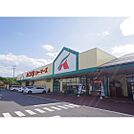 スーパー「A・コープファーマーズうえだ店まで1011ｍ」