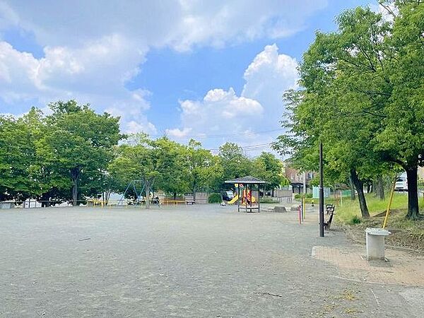 周辺を拡大表示