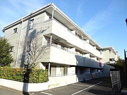 ストゥリーム21